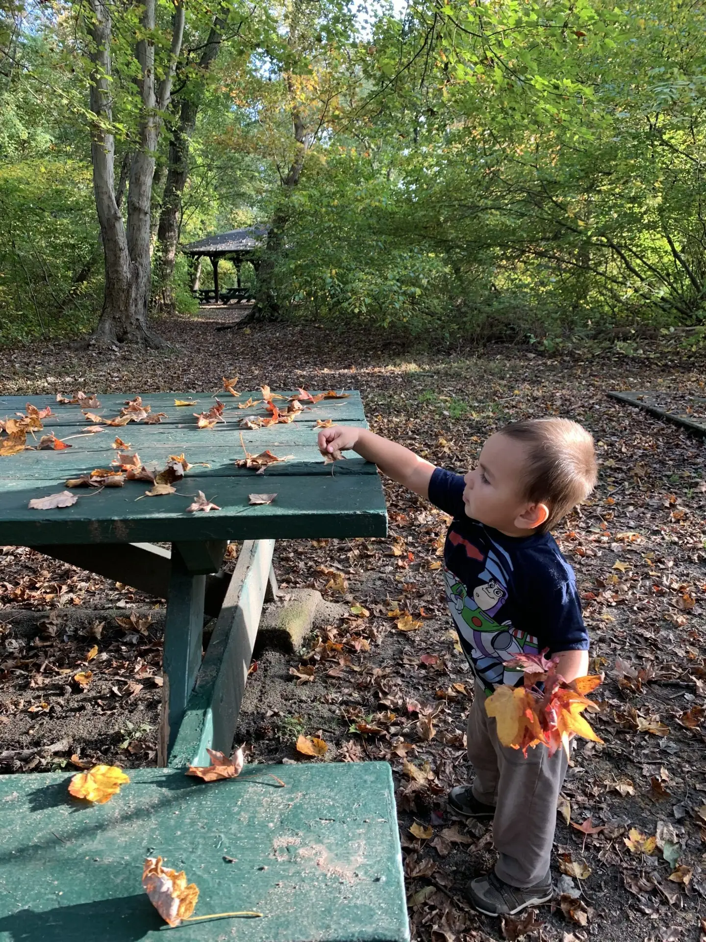 Kings Point Park in the Fall