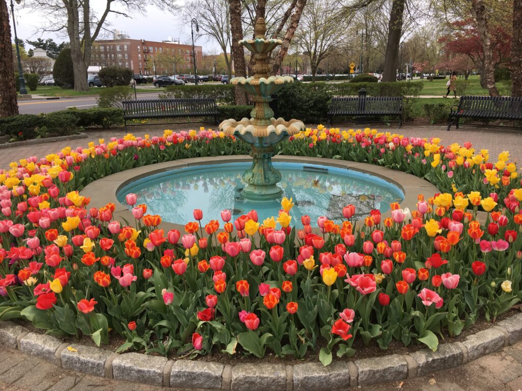 Spring in Garden City, NY