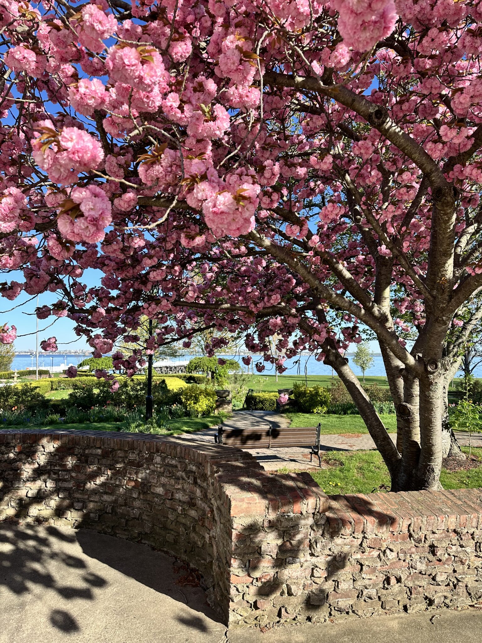 Great Neck NY Spring at Stepping Stone Park